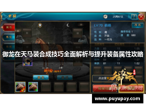 御龙在天马装合成技巧全面解析与提升装备属性攻略