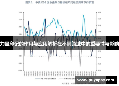 力量印记的作用与应用解析在不同领域中的重要性与影响