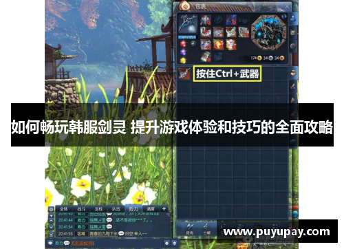 如何畅玩韩服剑灵 提升游戏体验和技巧的全面攻略