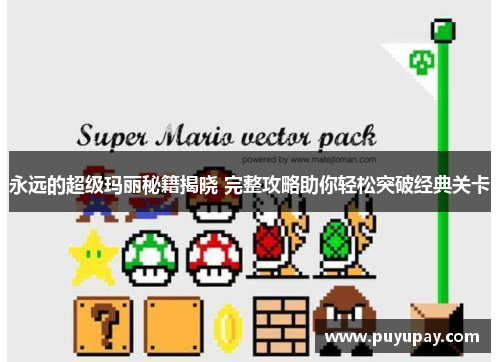 永远的超级玛丽秘籍揭晓 完整攻略助你轻松突破经典关卡